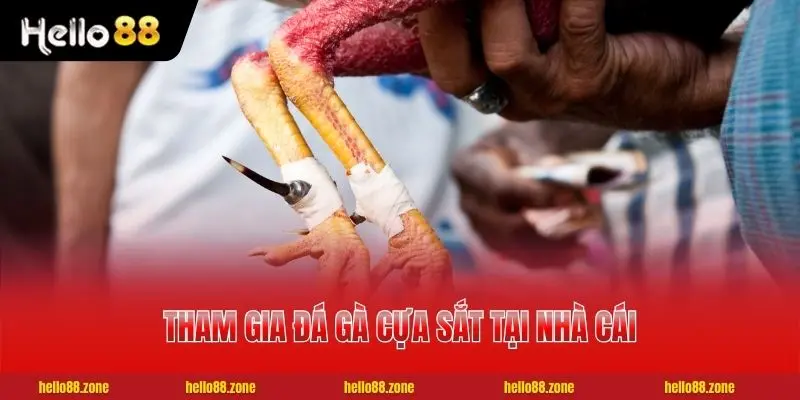 2 bước tham gia đá gà cựa sắt tại nhà cái