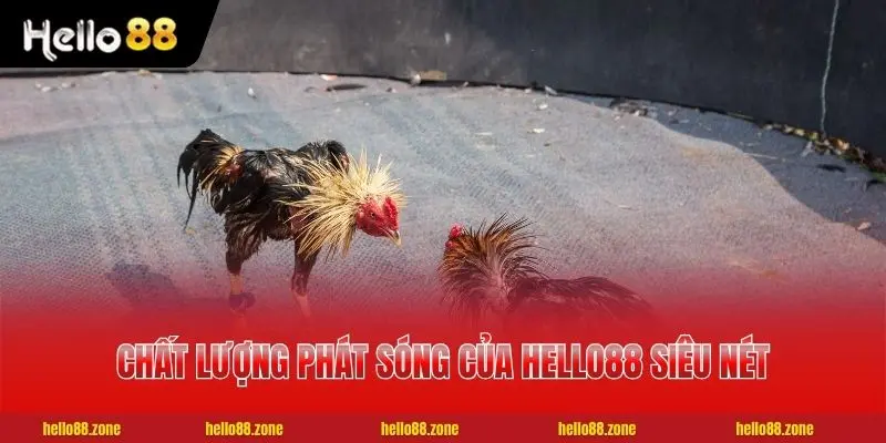 Chất lượng phát sóng của HELLO88 siêu nét