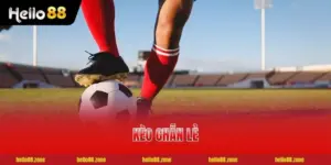 Cách Soi Kèo Chẵn Lẻ | Top 5 Bí Quyết Bất Bại Từ Cao Thủ