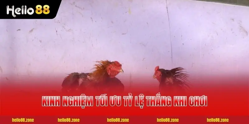 2 kinh nghiệm tối ưu tỷ lệ thắng khi chơi