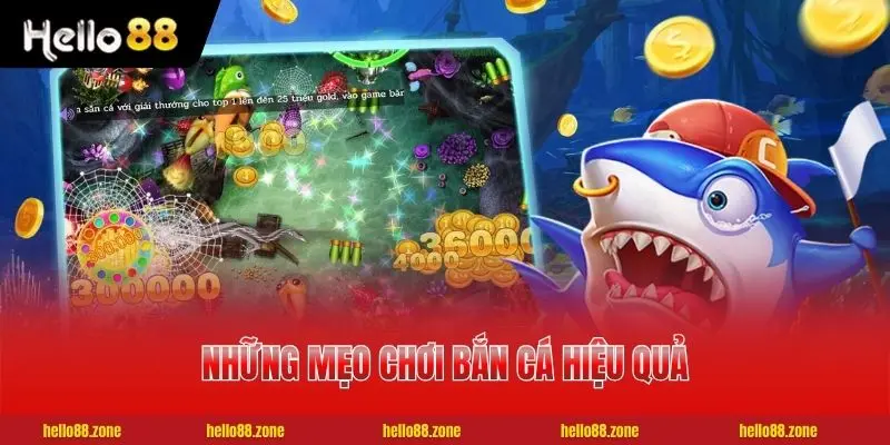 Những mẹo chơi bắn cá hiệu quả cao nhất cho hội viên