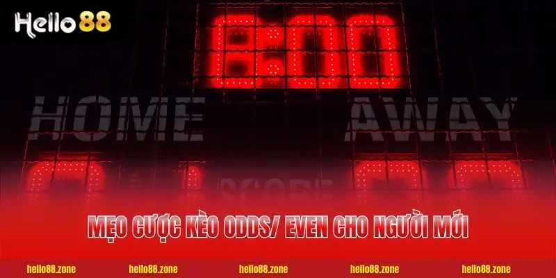 Mẹo cược kèo Odds/ Even cho người mới