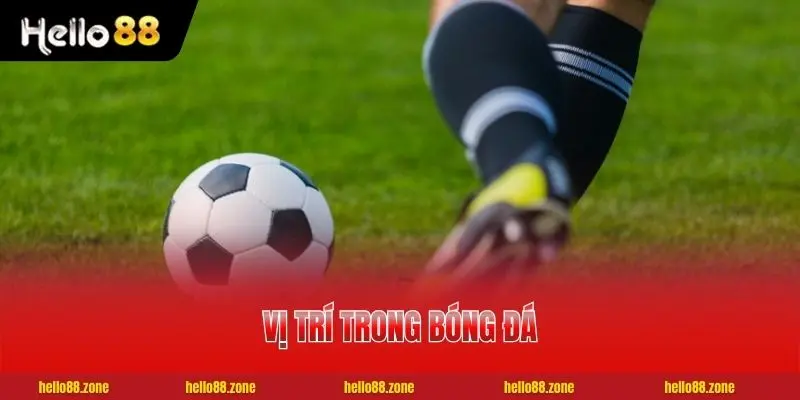 4 Tuyến Vị Trí Trong Bóng Đá Người Mới Chơi Nên Biết 1 4 Tuyến Vị Trí Trong Bóng Đá Người Mới Chơi Nên Biết